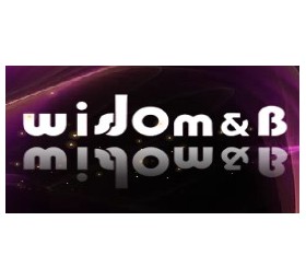 贞智美女装加盟